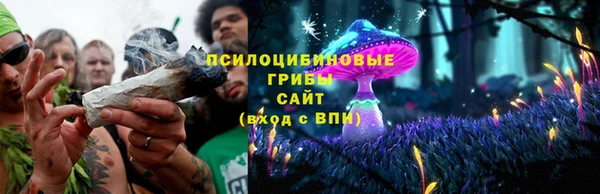 кристаллы Осинники
