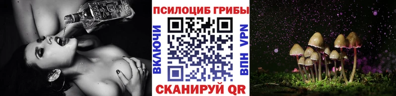 Псилоцибиновые грибы Magic Shrooms  как найти закладки  Пущино 